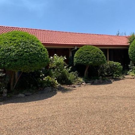 Muswellbrook Motor Inn Exterior photo