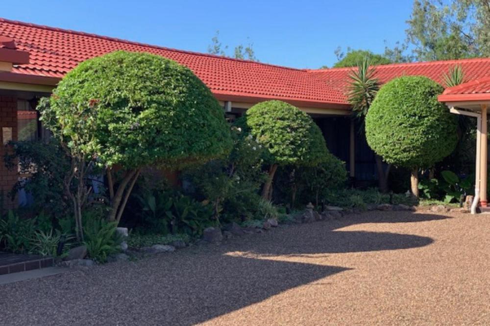 Muswellbrook Motor Inn Exterior photo